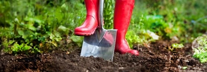 Simple tips for protecting your back during lawn & garden season